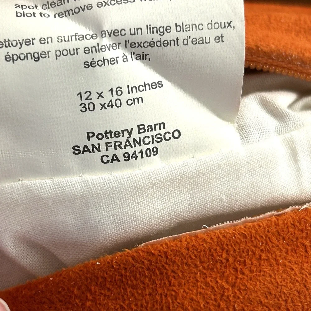 POTTERY BARN Pair Orange Lumbar Throw  Pillows GIVE THANKS GUC Fall Autumn 12x16